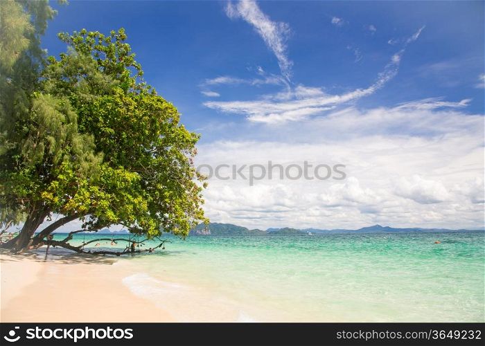 Beautiful tropical white sand beach at Trang andaman sea Thailand