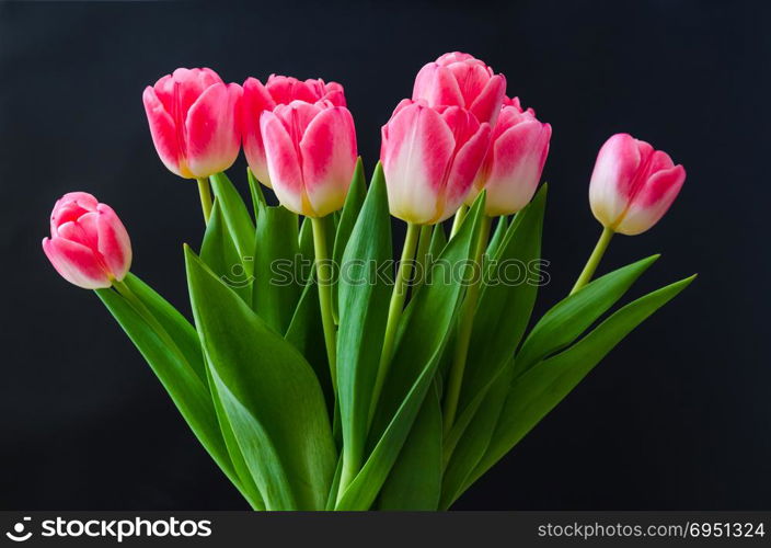 Beautiful tulip flowers boquet by a black wall