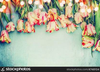 Beautiful tulips floral border with bokeh on blue vintage background, top view, place for text. Parrot tulips