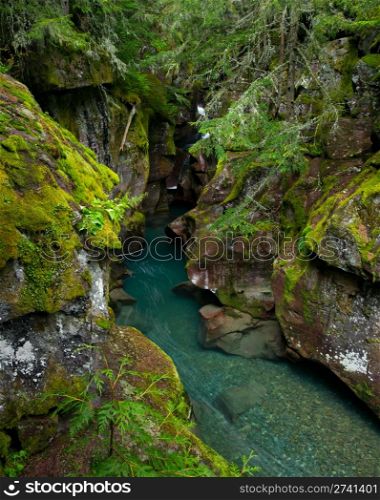 Beautiful turquoise mountain stream among mossy green boulders in Glacier National Park, Montana.