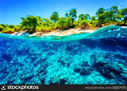 Beautiful undersea nature, gorgeous sea bottom through transparent blue water near tropical island, majestic marine life, travel and vacation concept