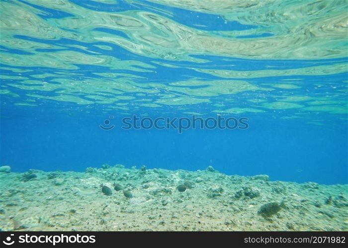 Beautiful underwater seascape, natural background