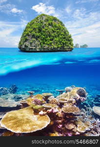 Beautiful uninhabited island in Thailand with coral reef bottom underwater and above water split view