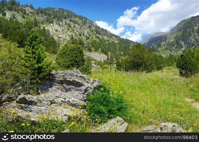 Beautiful valley and blue sky in Andorra. Mountain landscape in the Pyrenees.