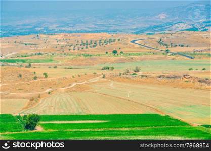 beautiful valley plowed fields, top view