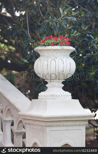 beautiful vase with red flowers on the bridge