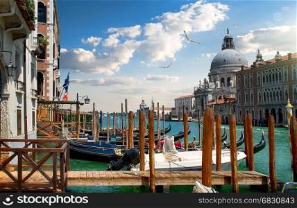 Beautiful venetian cityscape with gondolas and basilica, Italy