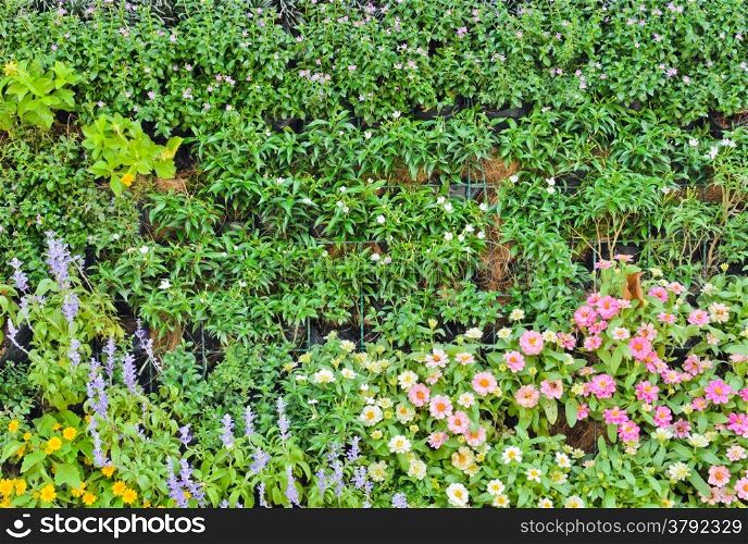 Beautiful vertical garden wall