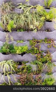 Beautiful vertical garden with plants on eco friendly textile texture.