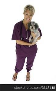 Beautiful vet holding silver toy poodle. Clipping path.