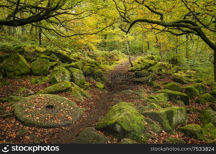 Beautiful vibrant Autumn forest landscape image of millstone in forest in Peak District