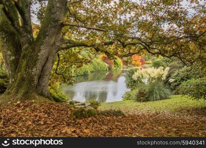 Beautiful vibrant Autumn landscape overlooking lake