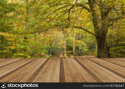 Beautiful vibrant golden Autumn Fall forest landscape with wooden planks floor
