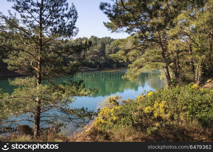 Beautiful vibrant landscape image of old clay pit quarry lake wi. Beautiful landscape image of old clay pit quarry lake with unusual colored green water