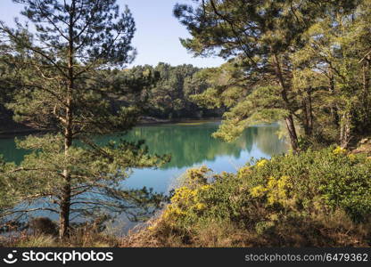 Beautiful vibrant landscape image of old clay pit quarry lake wi. Beautiful landscape image of old clay pit quarry lake with unusual colored green water