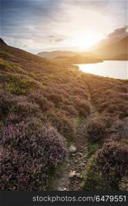 Beautiful vibrant sunrise landscape over Cregennen Lakes with Ca. Landscapes. Stunning sunrise landscape over Cregennen Lakes with Cadair Idris in background in Snowdonia