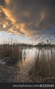 Beautiful vibrant Winter sunrise over reeds on lake in Cotswolds in England