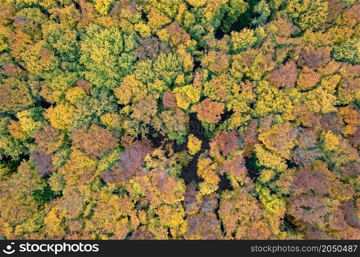 Beautiful view from drone over forest in autumn season. Colorful fall leaves on trees. Natural wallpaper and backdrop.. View from drone over forest in autumn season