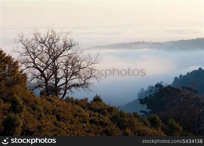 Beautiful view of a sea of clouds on the mountain