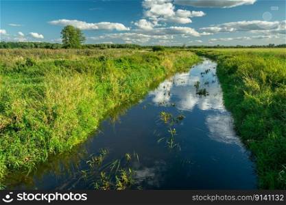 Beautiful view of a small blue river in summer.