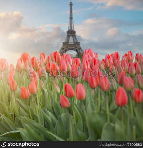 Beautiful view of famous Eiffel Tower in Paris, France