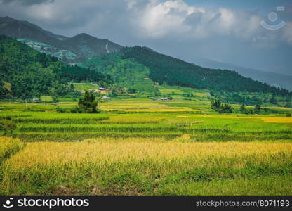 beautiful view of house and village in rice terrace at tu le ,mu cang chai , vietnam