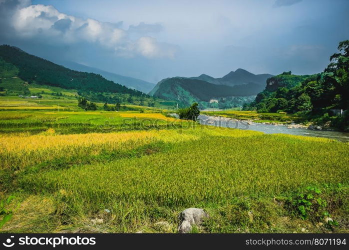 beautiful view of house and village in rice terrace at tu le ,mu cang chai , vietnam