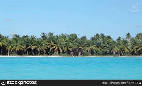 Beautiful view of island with many palm trees and clear blue sea