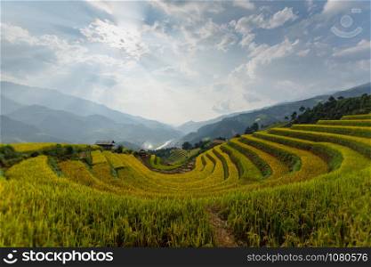 beautiful view of rice terrace (Doi Mong Ngua, diem chup lua view point) in Mu Cang Chai, Vietnam, farmer implant on high mountain. soft focus.
