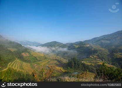 beautiful view of rice terrace in Mu Cang Chai, Vietnam, farmer implant on high mountain. soft focus.