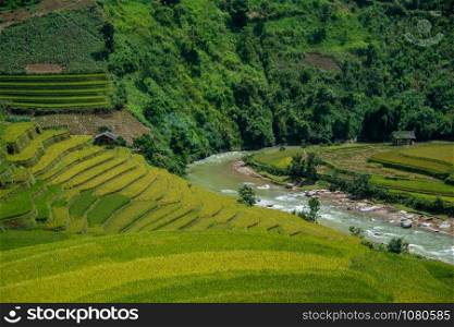 beautiful view of rice terrace in Mu Cang Chai, Vietnam, farmer implant on high mountain. soft focus.