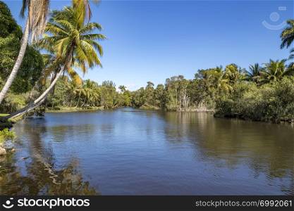 Beautiful view of river and palms in Laguna del Tesoro, Cuba