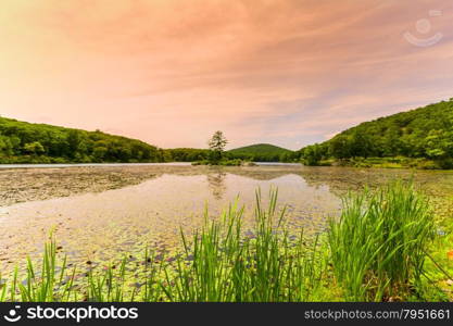 Beautiful view of sunset on the forest lake.. View of the sunset on the forest lake.