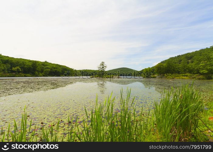 Beautiful view of sunset on the forest lake.. View of the sunset on the forest lake.