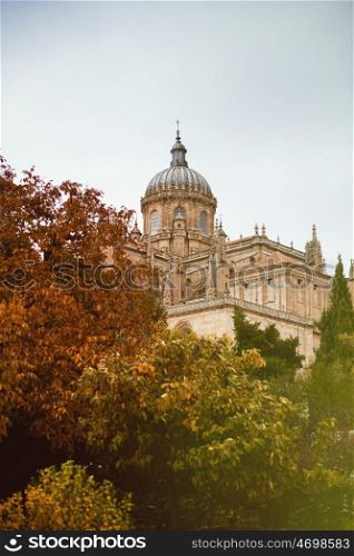 Beautiful view of the Cathedral of Salamana