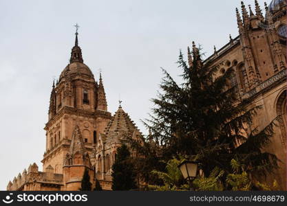 Beautiful view of the Cathedral of Salamana