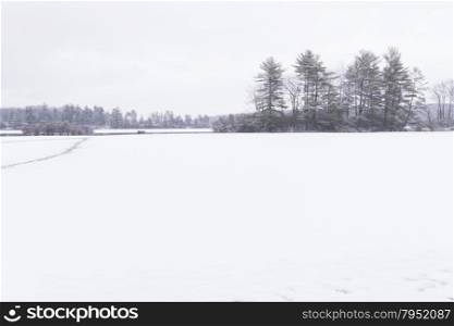 Beautiful view of the frozen forest lake in the winter.