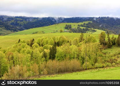 Beautiful view of the spring Carpathians from a height. On the top of the hill there are several rural huts, and the valley is overgrown with young deciduous trees.. View from a height on the village and the spring Carpathians overgrown with young deciduous trees.