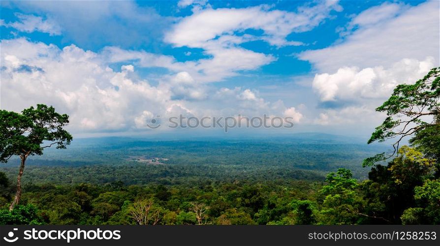 Beautiful view of tropical forest at Khao Yai national park in Thailand. World heritage. Green dense tall trees on the mountain and blue sky and cumulus clouds.