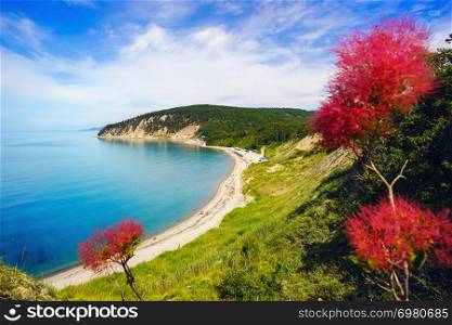 Beautiful view over the sea from a height, with flowers. Russia , Bukhta Inal.. Beautiful view over the sea from a height, with flowers.