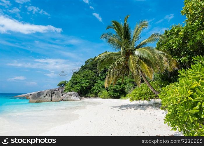 Beautiful view with blue sky and clouds, blue sea and white sand beach with coconut tree on Similan island, No.8 at Similan national park, Phuket, Thailand is most popular for tourist. Copy space background for vacation.