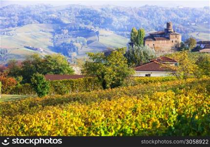 beautiful vineyards and medieval castles of Piedmont, Italy