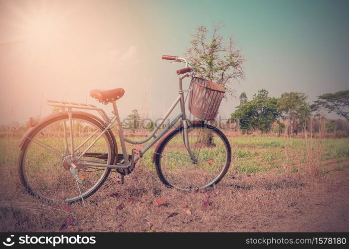 Beautiful vintage bicycle in the field with colorful sunlight and blue sky ; vintage filter style for greeting card and post card.