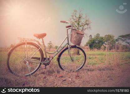 Beautiful vintage bicycle in the field with colorful sunlight and blue sky ; vintage filter style for greeting card and post card.