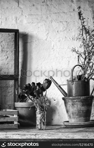 Beautiful vintage English countryside garden potting shed interior detail