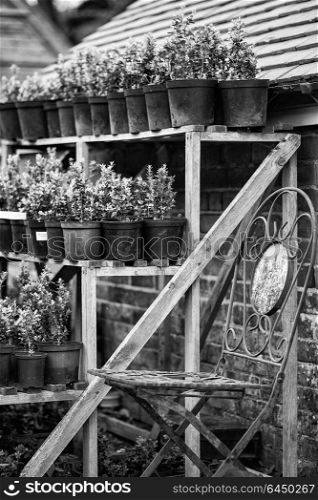 Beautiful vintage potting shed exterior detail in English countryside garden