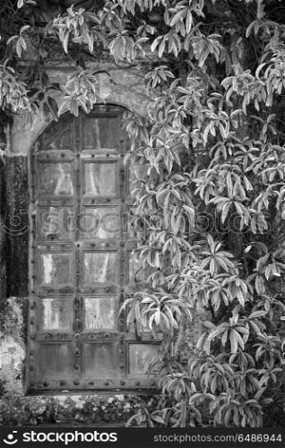 Beautiful vintage Victorian mansion entrance door surrounded by . Beautiful old Victorian mansion entrance door surrounded by plants and tree in black and white