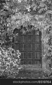 Beautiful vintage Victorian mansion entrance door surrounded by . Beautiful old Victorian mansion entrance door surrounded by plants and tree in black and white