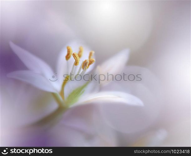 Beautiful Violet Nature Background.Abstract Macro Photography.Floral Art Design.Artistic Flower.Creative Wallpaper.Violet Color.Colorful Natural Photo.Beauty in Nature.Closeup View.Copy Space.Decorative,artwork.