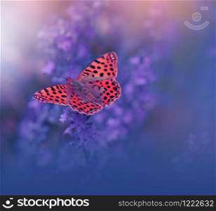 Beautiful Violet Nature Background.Floral Art Design.Macro Photography.Floral abstract pastel background with copy space.Butterfly and Lavender Field.Butterfly in Summer Background.Background with a Beautiful Butterfly on a Flower.Artistic Wallpaper.